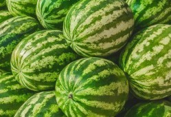 最近比较劲爆的大瓜.吃瓜视频每日大赛,吃瓜视频每日大赛精彩纷呈