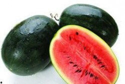 黑料网 网红大瓜下载,网红大瓜下载，带你一网打尽娱乐圈幕后真相